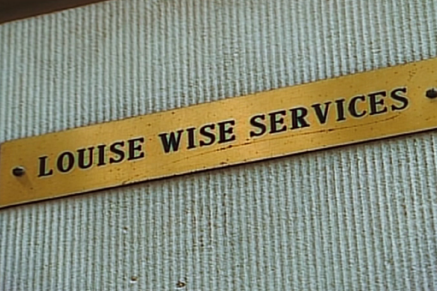 Close-up of a brass nameplate mounted on a textured wall, engraved with the text "LOUISE WISE SERVICES" in bold black capital letters.