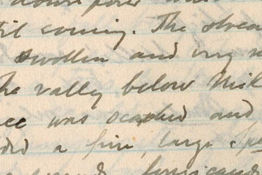 Close-up of handwritten text in dark ink on lined paper, with cursive writing that includes the phrase "The valley below" and other partially legible lines. The handwriting appears neat but slightly faded in places.