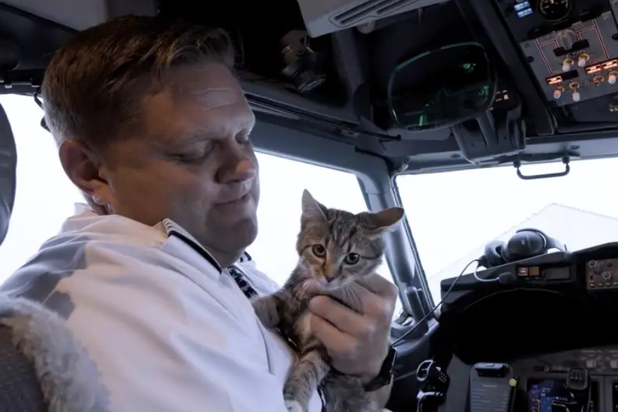 A pilot in a white uniform is holding a small tabby kitten inside an airplane cockpit. The pilot looks down at the kitten with a gentle expression, while cockpit controls and displays are visible around them.
