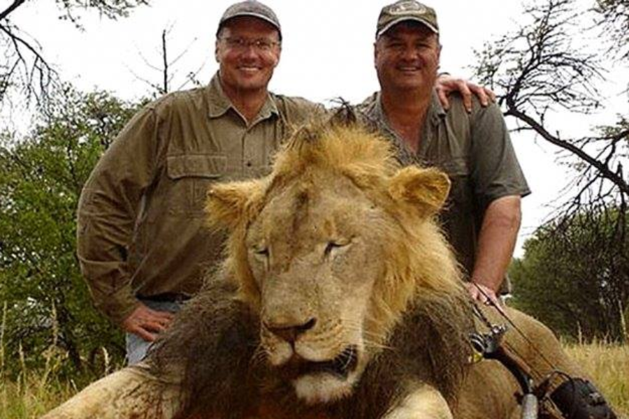 Brian Palmer with cecil the lion