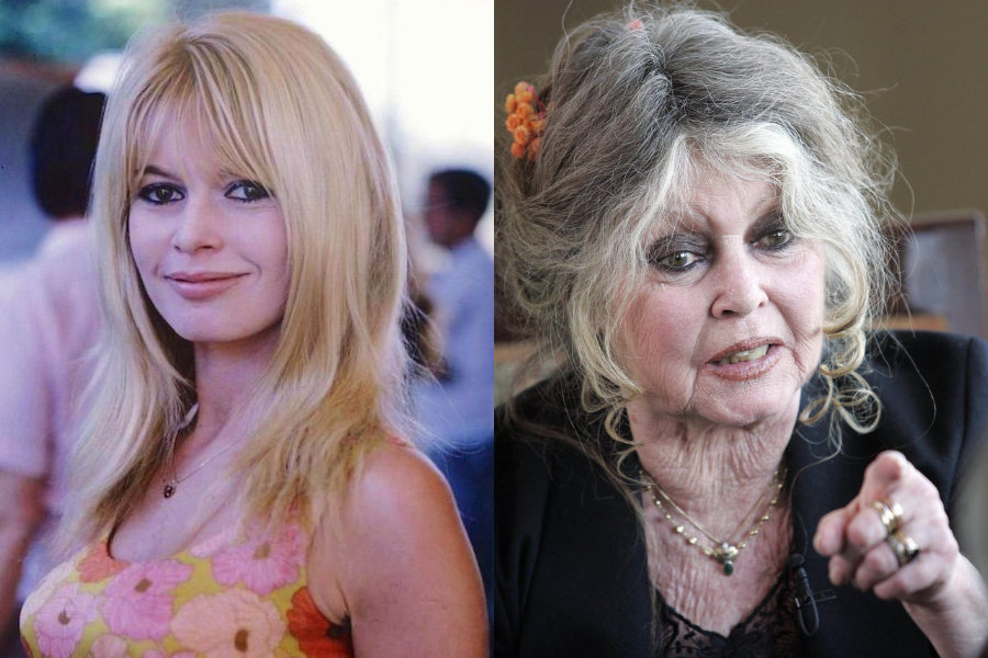 Brigitte Bardot in her youth with long blonde hair and a floral top, and in older age gesturing expressively with tousled hair and bold makeup.