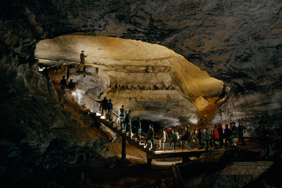 Tourists descend into a large illuminated cave chamber at Mammoth Cave National Park, surrounded by textured rock walls and led by a park ranger.