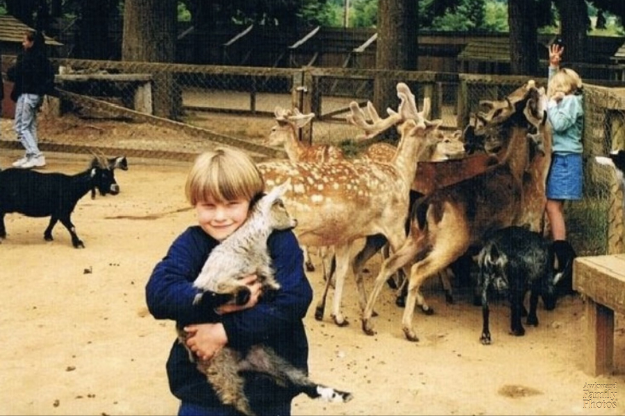 A young boy smiles while hugging a small goat, completely unaware of the chaos behind him where another child is swarmed by deer and goats.