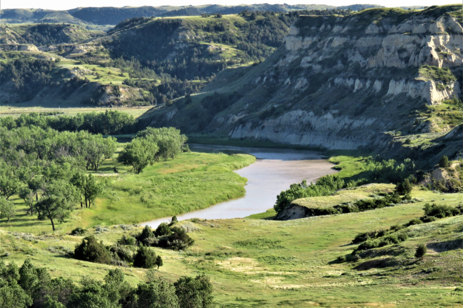 The Little Missouri River winds through lush green valleys and rugged badlands in Theodore Roosevelt National Park.