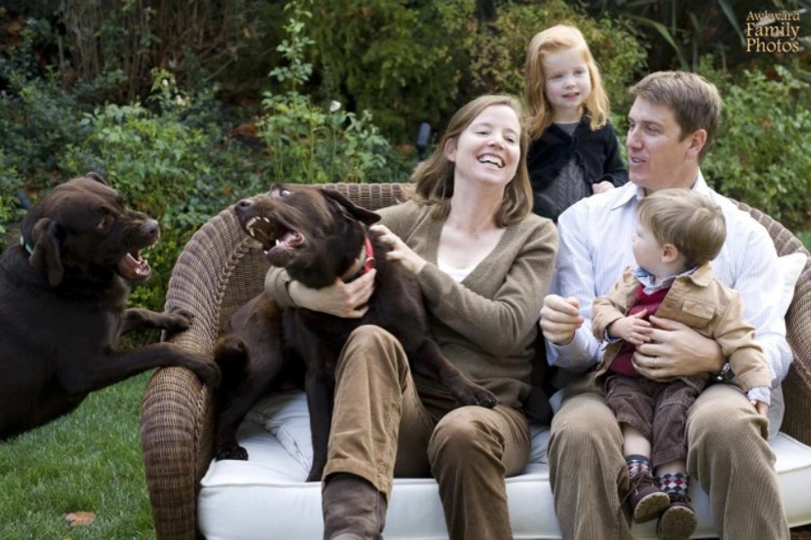 A staged family photo is interrupted by two chocolate labs mid-snarl, creating unexpected tension amidst the smiles.