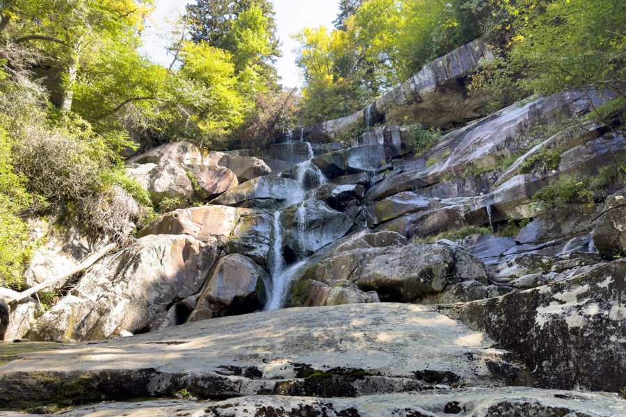 A gentle waterfall flows down smooth, mossy rocks surrounded by trees in Great Smoky Mountains National Park.
