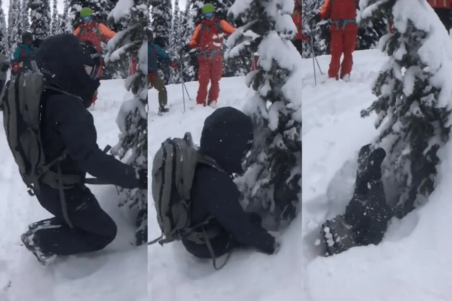 Sequence of three images showing a skier kneeling next to a tree, then suddenly falling headfirst into deep snow near the base.