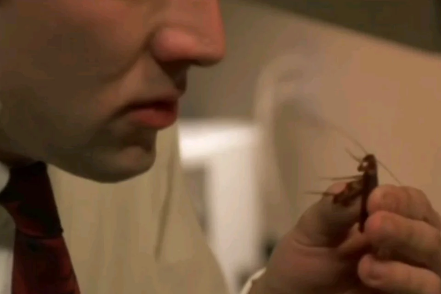 A man in a shirt and tie closely examines a live cockroach held between his fingers.