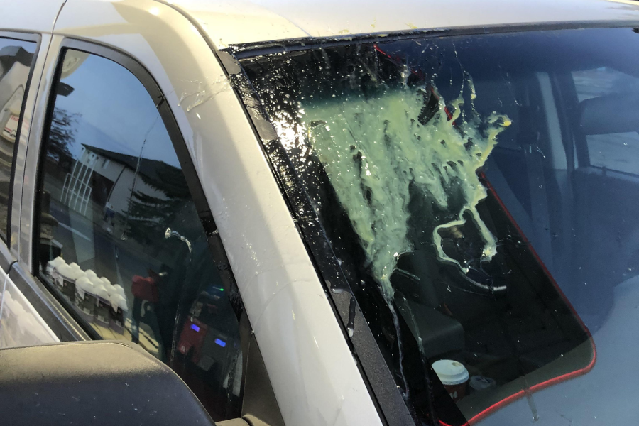 Yellowish substance splattered across the windshield of a white vehicle, partially obscuring visibility.