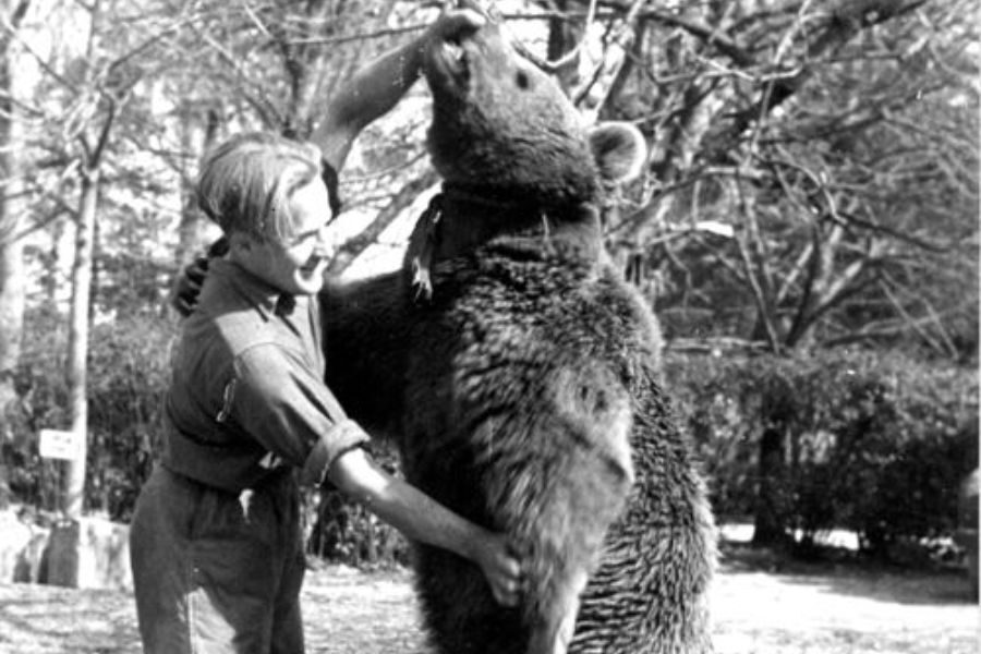 A young soldier laughs while playing with a large bear standing upright, both interacting affectionately in a wooded outdoor area.