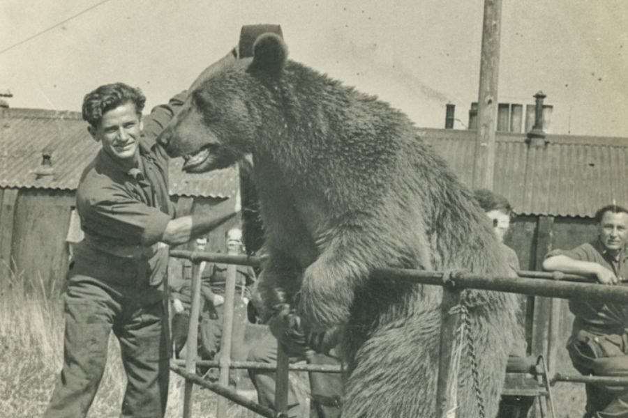 A smiling man in uniform places a military hat on a bear standing on its hind legs, with other soldiers watching nearby.