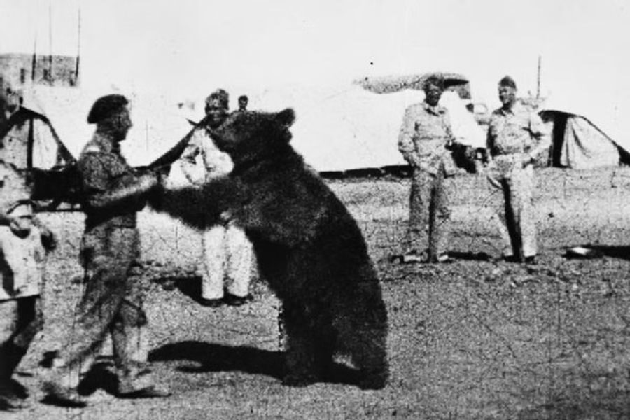 A large bear stands on its hind legs while a soldier in uniform holds its front paws, with tents and other soldiers in the background.