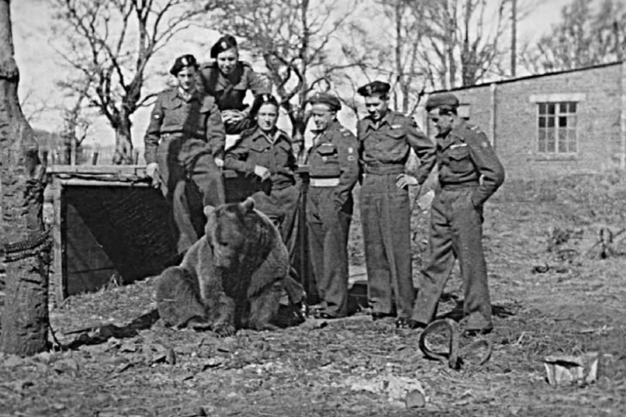 Six soldiers in uniform pose around a seated bear outside a small wooden shelter, with trees and a brick building in the background.