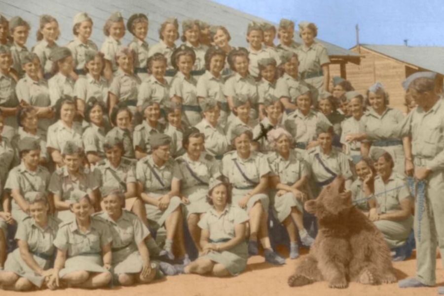 A group of smiling female soldiers pose for a group photo, with a small bear cub on a leash sitting in front of them.