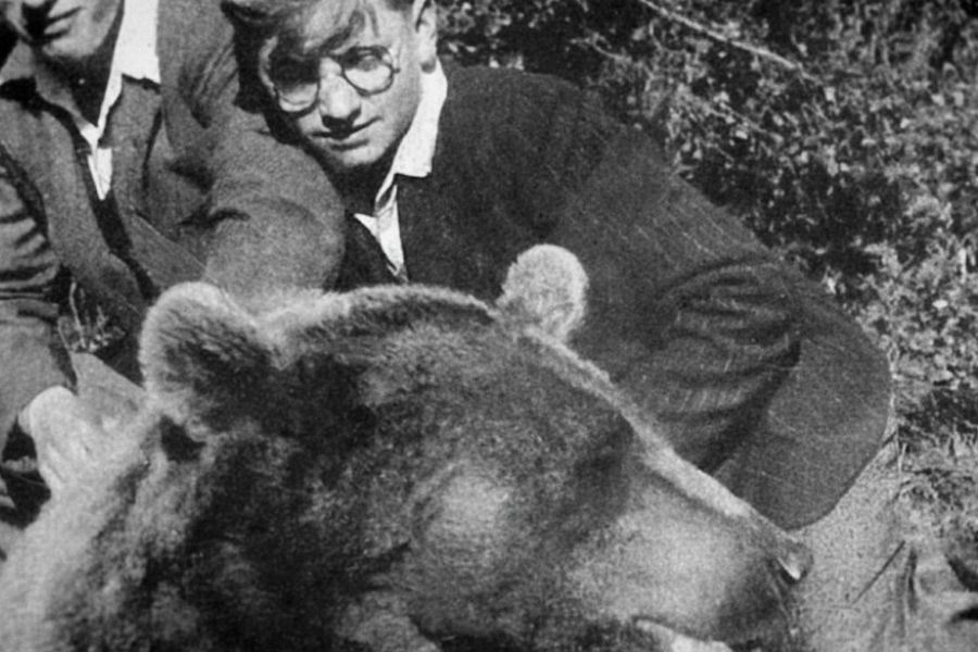 A young man with glasses gently strokes the head of a large bear resting on the ground in a grassy outdoor setting.