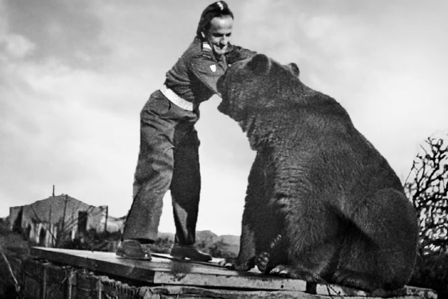 A soldier gently interacts with a large seated bear, both standing atop a structure with tents and trees in the background.