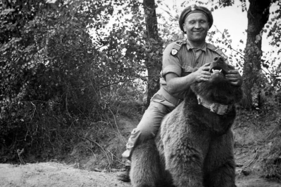 A smiling soldier in uniform sits on the back of Wojtek the bear in a forested area, playfully holding his ears.