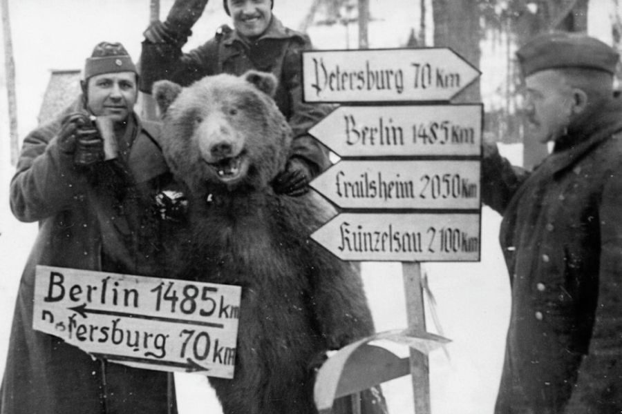 Three soldiers in winter gear pose beside a smiling bear and several wooden signposts showing distances to cities like Berlin and Petersburg.