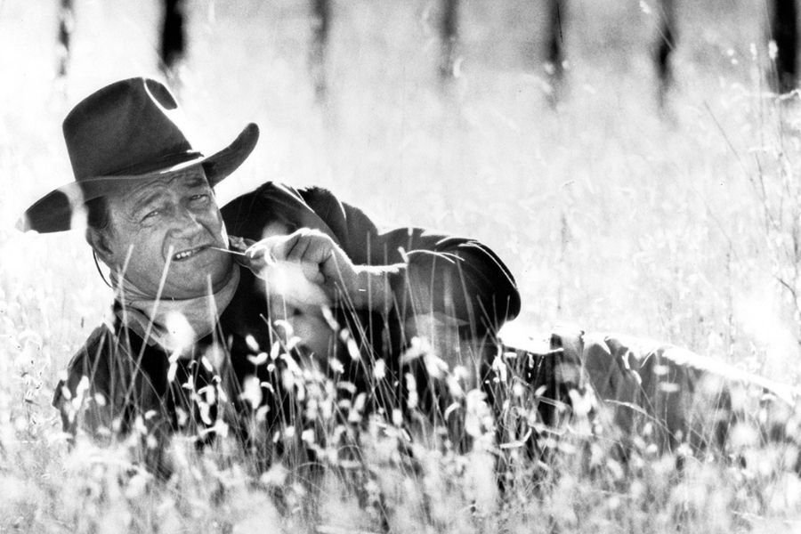 A person in a cowboy hat lies in a field of tall grass, holding a dried stem in their mouth. The scene conveys a relaxed, rustic atmosphere.