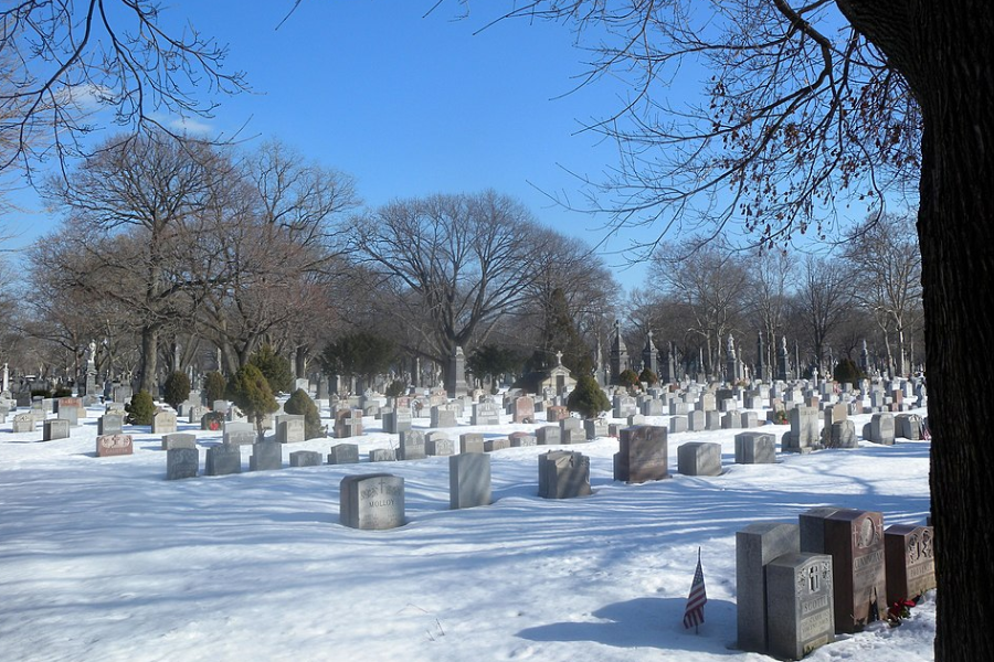 Cementery in the winter