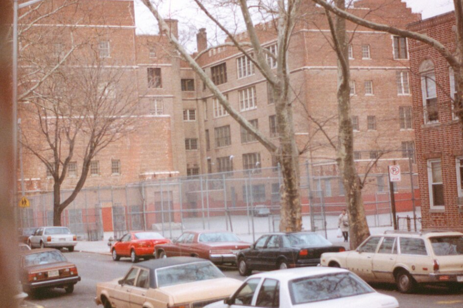 The Bronx