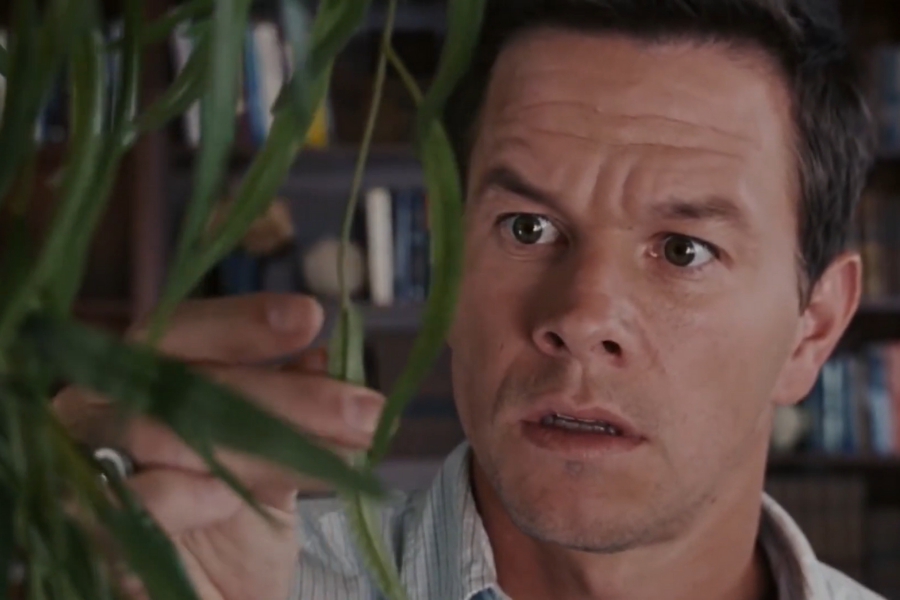 A person with a surprised expression looks closely at plant leaves in a room with bookshelves in the background, conveying curiosity and intrigue.