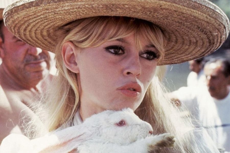 A blonde woman in a wide straw hat holds a white rabbit close, surrounded by people in the background.