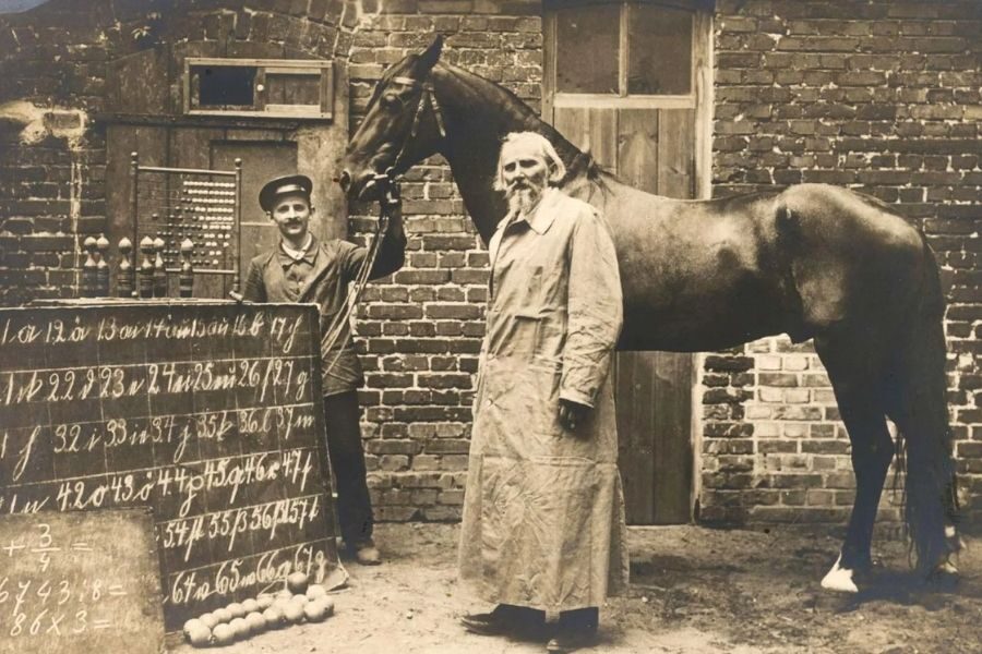 A vintage photo of Clever Hans, a horse once believed to perform arithmetic, standing beside two men and a chalkboard filled with numbers and equations.
