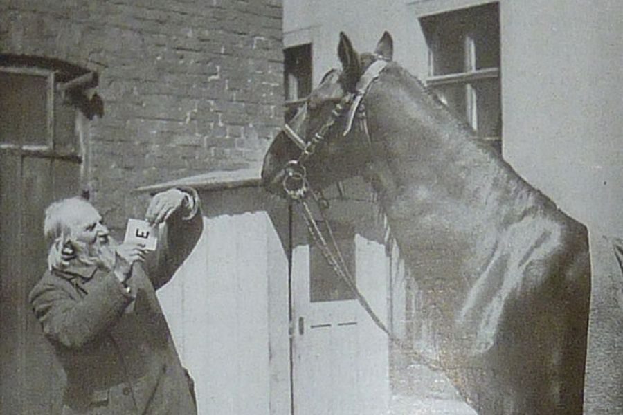 An elderly man holds up a card with the letter "E" in front of Clever Hans, who appears to study it attentively. The scene is outside near brick buildings.