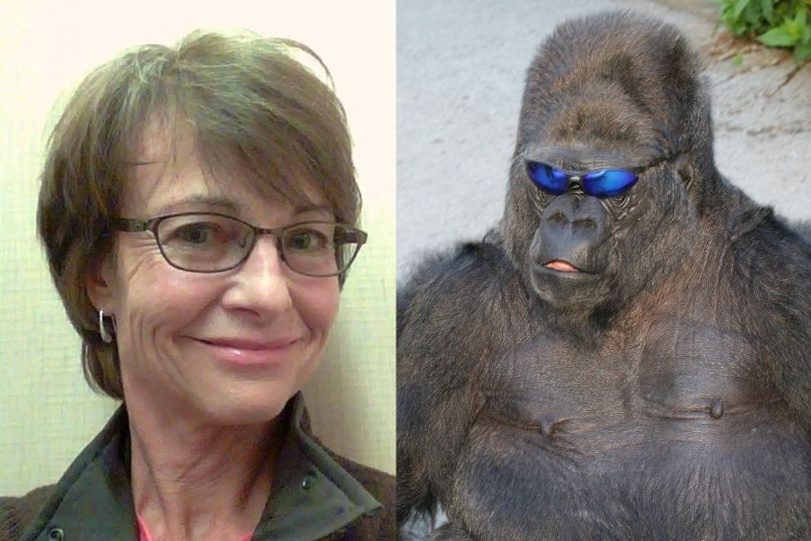 A side-by-side photo shows a woman smiling at the camera and a gorilla wearing mirrored blue sunglasses with a relaxed expression.