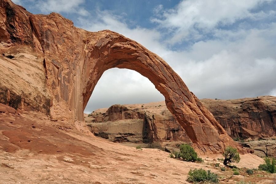 Utah Desert
