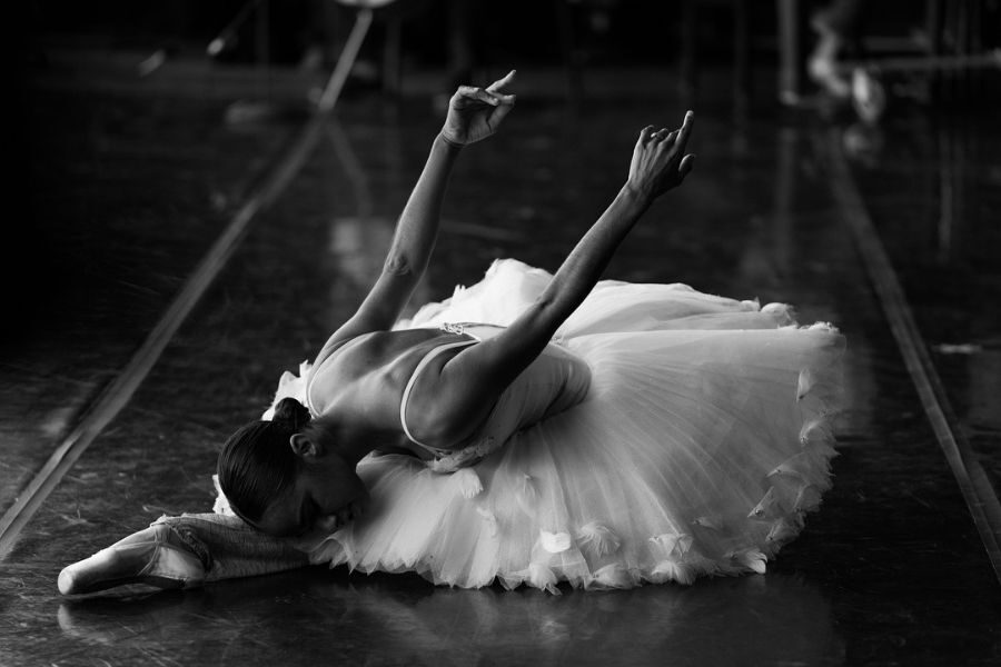 A ballerina gracefully kneels on a polished studio floor, wearing a delicate tutu. Her expressive outstretched arms and serene posture convey elegance.