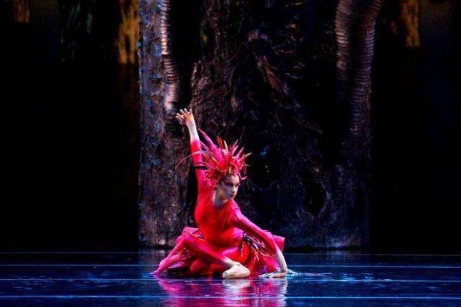 Ballet dancer in vibrant red costume and spiky headdress gracefully poses on stage, against a dark forest backdrop, conveying elegance and intensity.