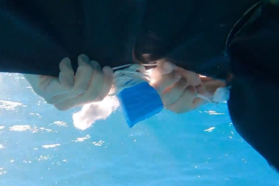 Hands holding a blue object underwater, against a bright blue backdrop. Bubbles and light rays create a serene, immersive aquatic scene.