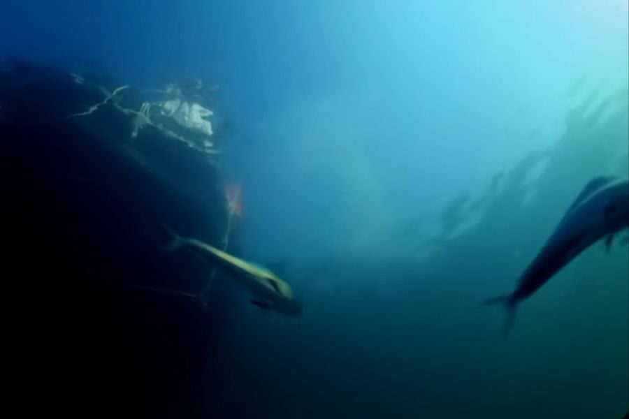 Underwater shot of two fish swimming near a dimly lit shipwreck, creating a serene and mysterious atmosphere with deep blue water around.